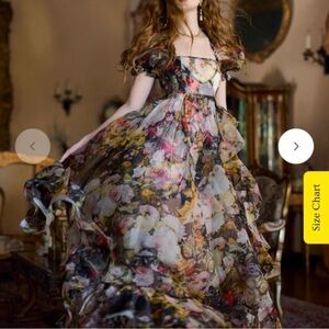 xxl Selkie fete des fleurs sheer delight ruffle gown